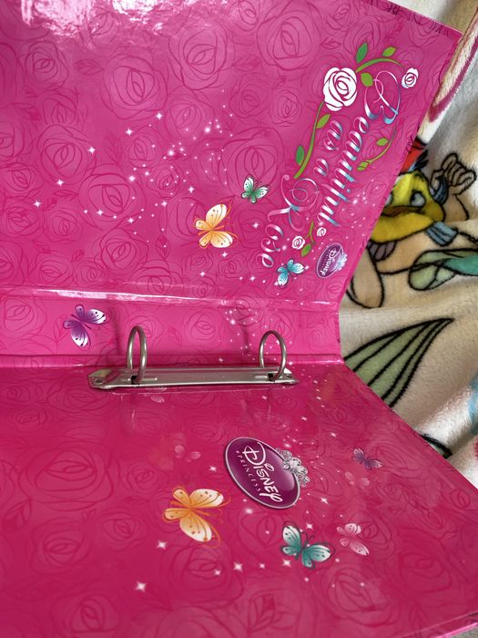 Segregator, disney, księżniczki