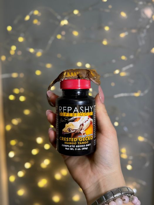 Репаші(Repashy) пюре для геконів