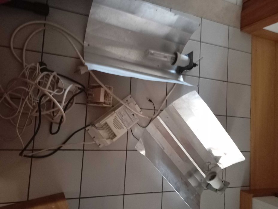 Cultivo outdoor..para plantas