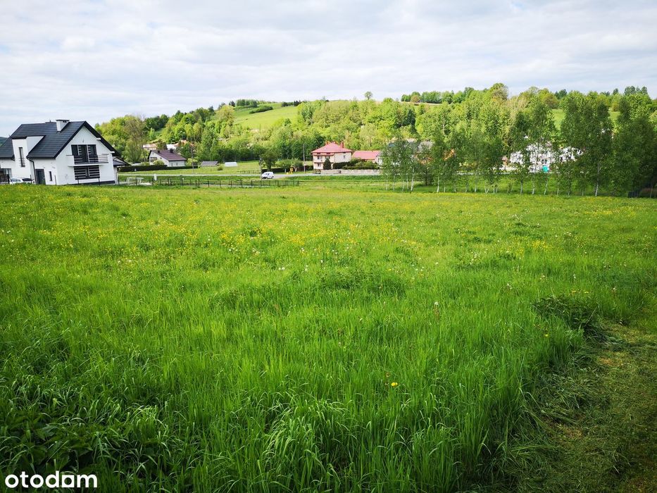 Działka, Hyżne