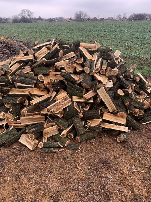 Дрова твердых пород колотые