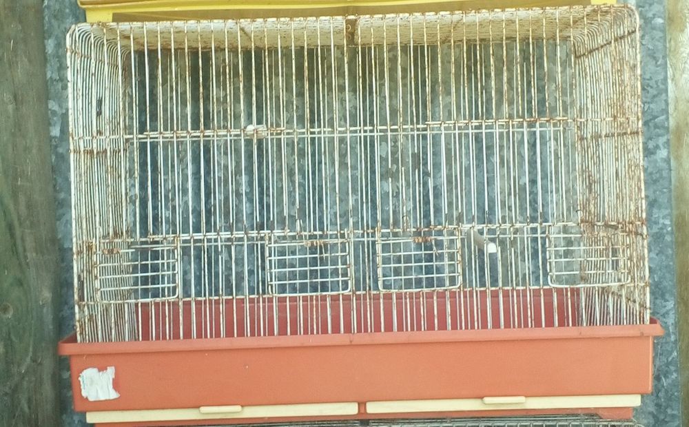 Gaiolas para criação de aves