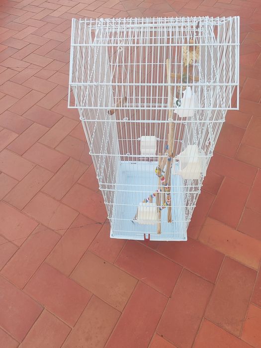 Gaiola para passaros