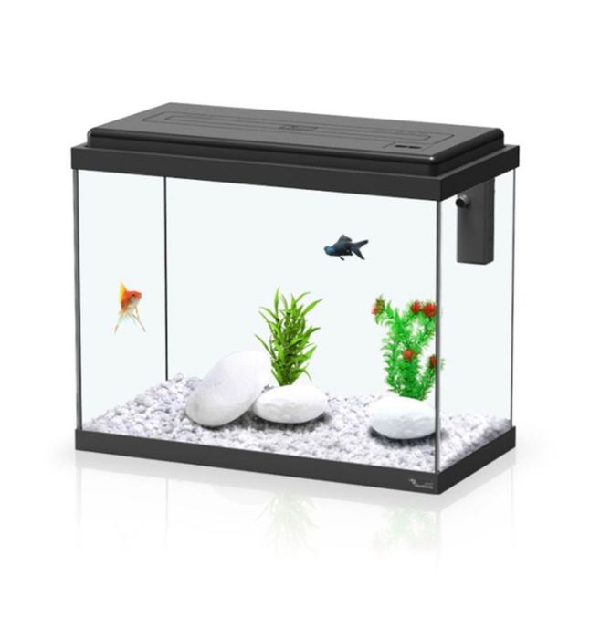Aquário 50 litros + Base