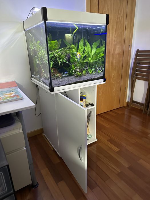 Aquario Completo Cubo 60x60x60