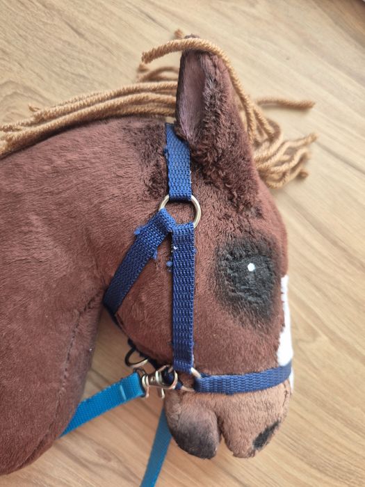 Hobby Horse A4 zestaw