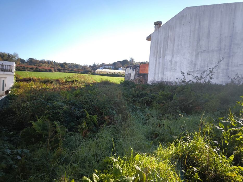 Limpeza e desmatação de terrenos