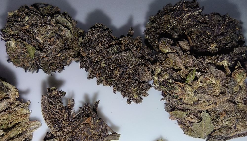 Legalny naturalny susz CBD BlueBerry 25g 6.10%