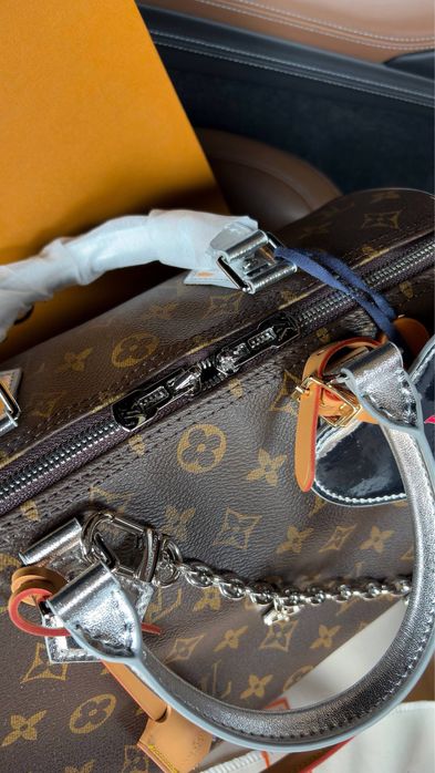 Сумка Louis Vuitton Speedy