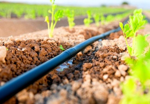 Ландшафтний дизайн. Пишіть на Вайбер