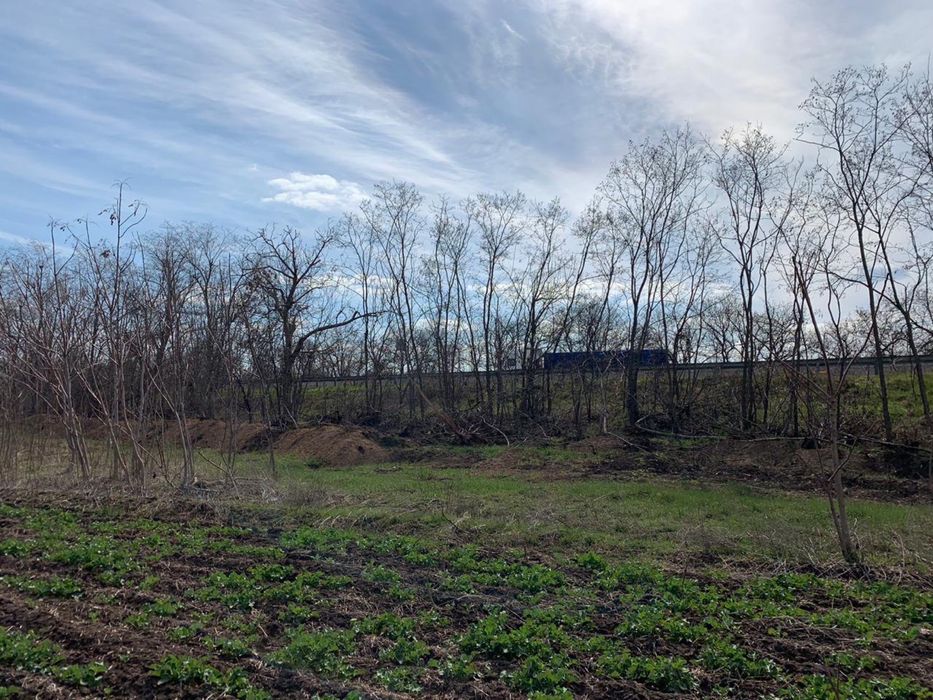 Продам свою земельну ділянку, траса Одеса-Київ