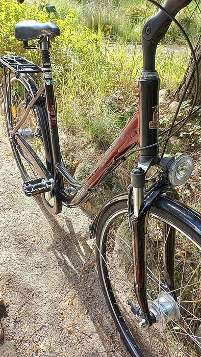 Alu Rower Miejski Damski Niska Rama Raleigh Ibnico De Luxe Nexus 8 28