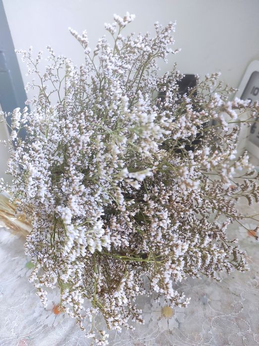 Гортензія Сухоцвіти Сухоцвети. венкі