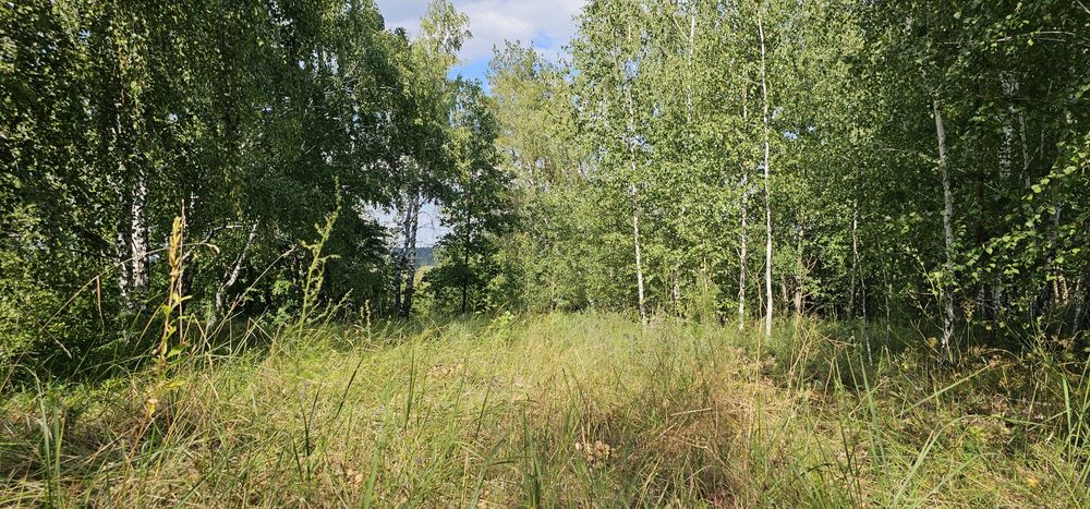 Інвестиція!!!земельна ділянка під житлову забудову 2,5га ,Рославичі