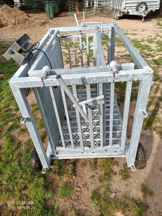 Balança móvel analógica para ovinos / caprinos