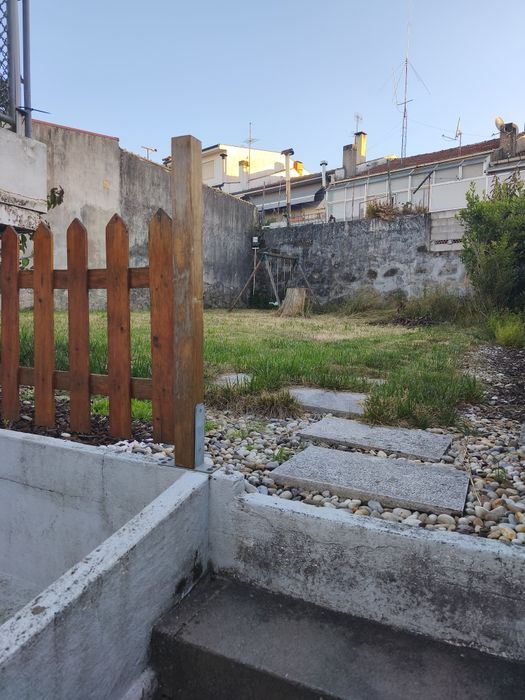 Estadia familiar para cães — férias com jardim, brincadeira e muito mimo