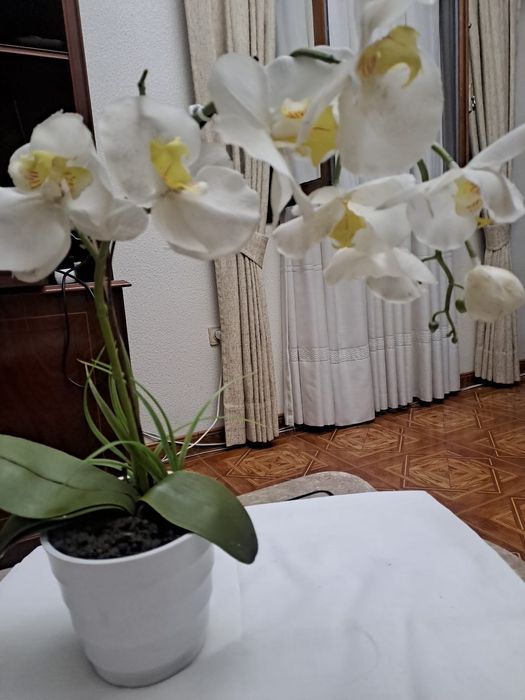 Cerâmica em muito bom estado