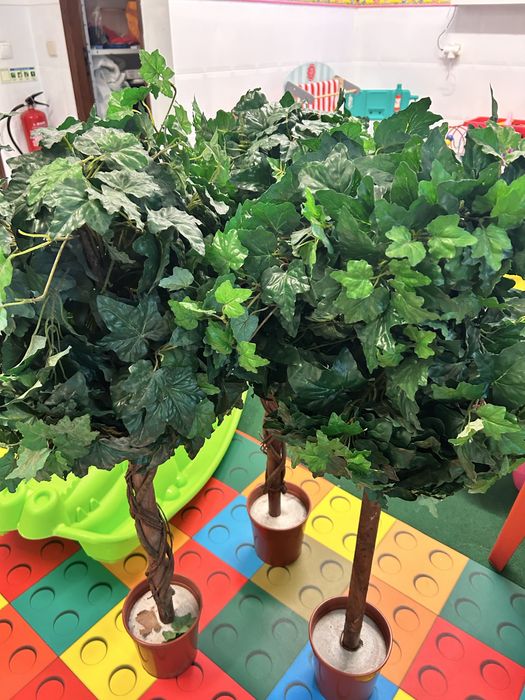 Lote plantas IKEA