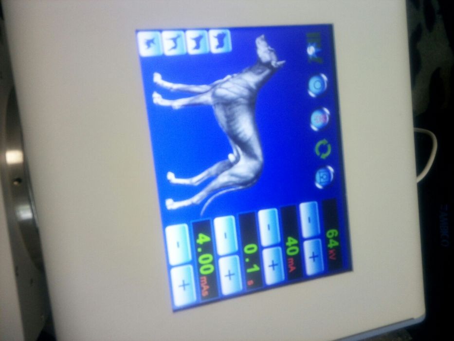 Рентген ветеренарный аппарат новый 5kw