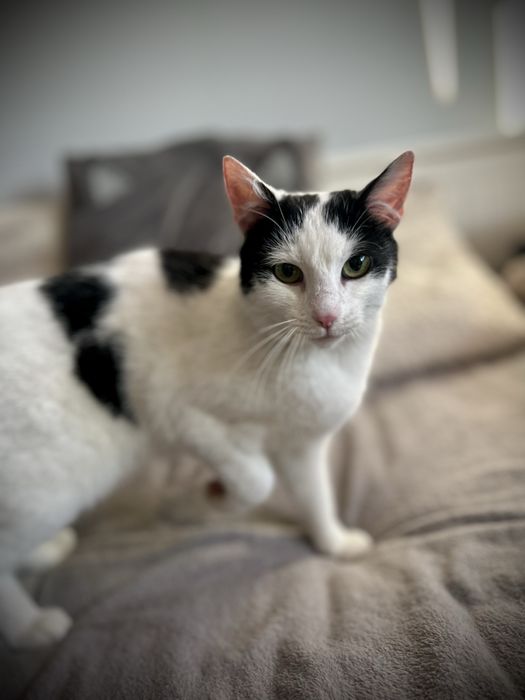 Bydgoszcz/ Cześć. Jestem Tobi…