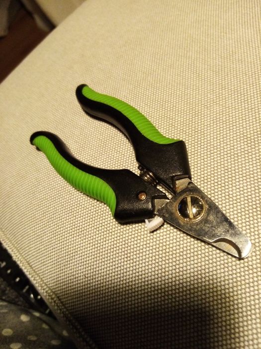 Tesoura c/ segurança para animais