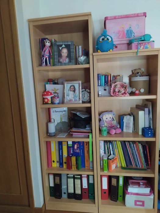 Vendo secretária e estantes