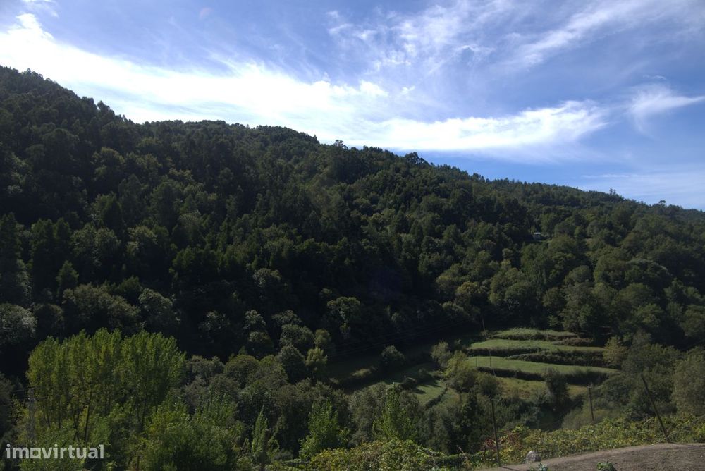 Moradia de Pedra com Terreno – Chamoim, Terras de Bouro