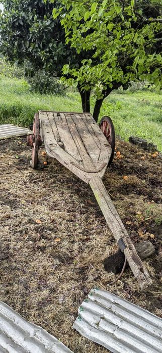 Carro de bois antigo