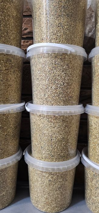 Пилок бджолиний весняний