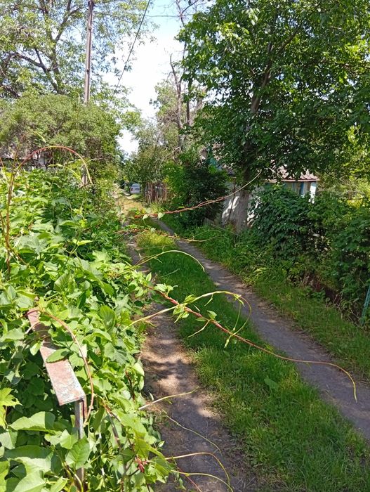 Продам дачу в 5км от Кривого Рога