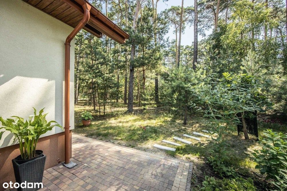 Wyjątkowy dom otulony lasem | Sokolniki-Las