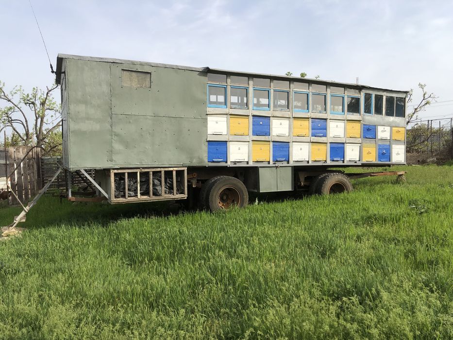 Бджолопавільйон з документами