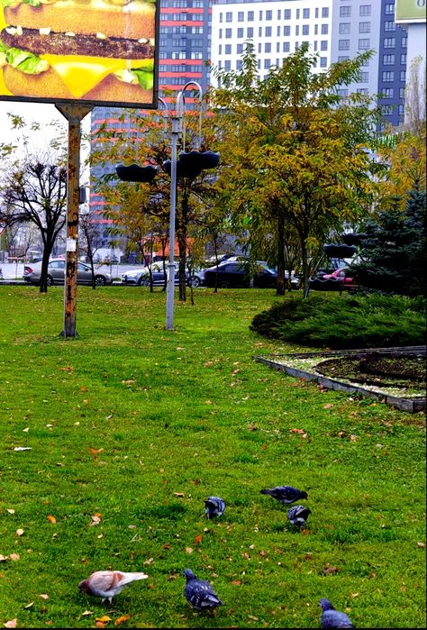 Комерційна нерухомість за адресою (площа 80 м²) - Atlanta.ua - фото 10