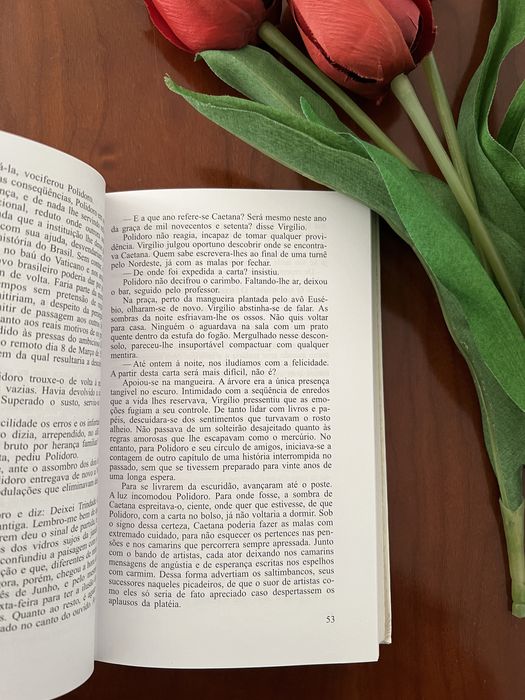 A Doce Canção de Caetana de Nélida Pinon