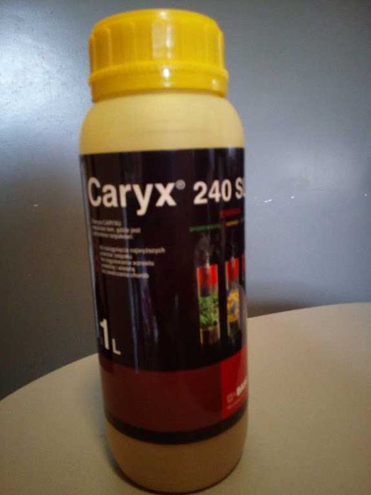 Caryx 1L cena brutto
