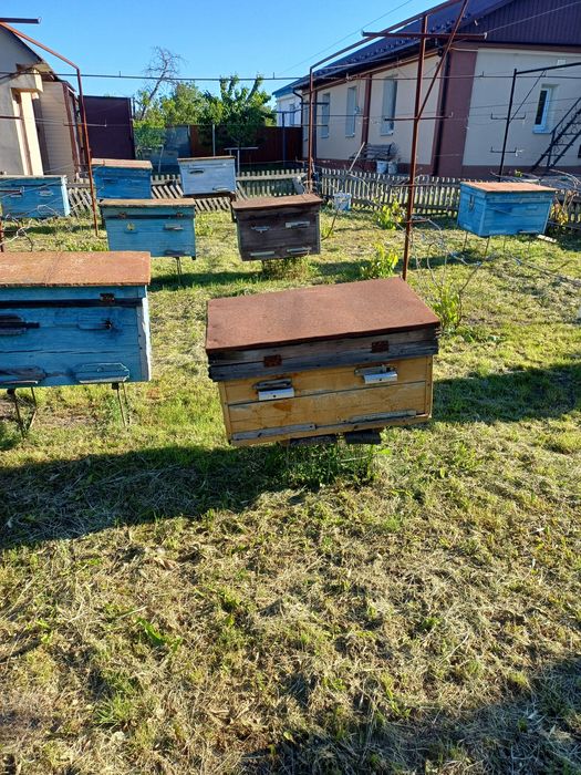 Продам вулики , рамки.