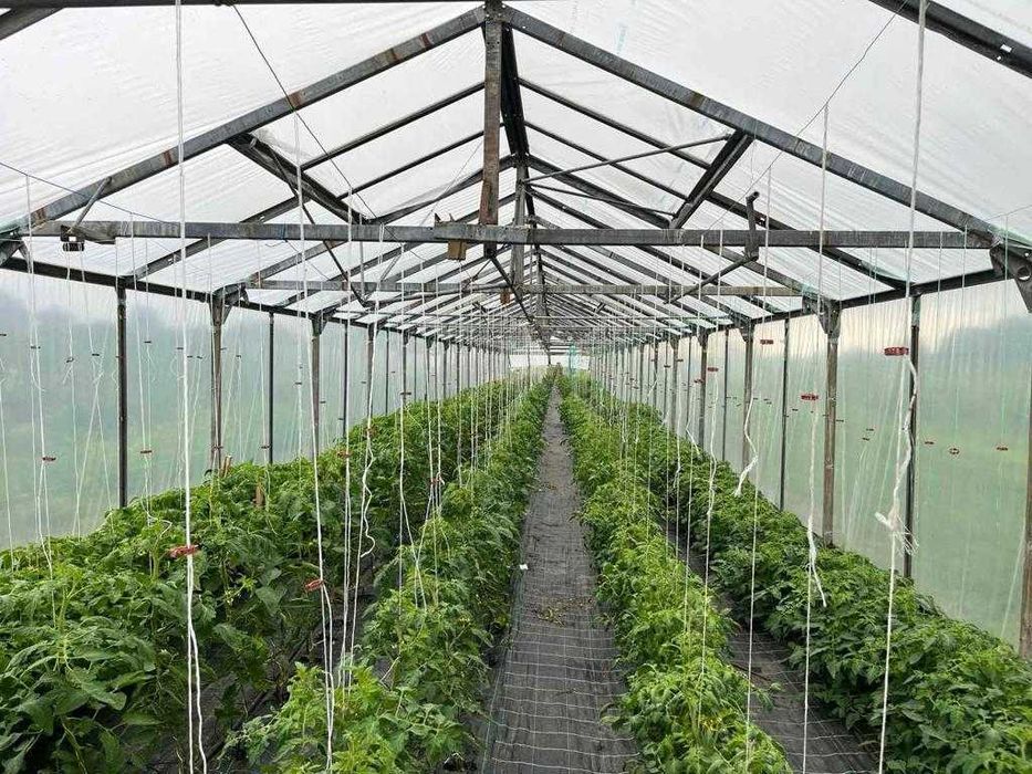 господарський комплекс 9,7 га, ягідно-овочеве підприєство, Львів