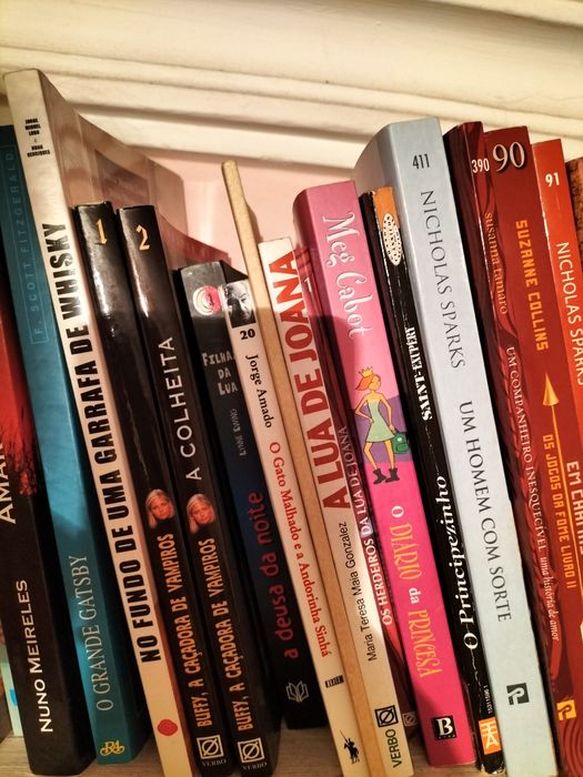 Vários livros em português e francês