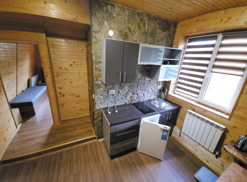 Vip apart  в Садибі з Джерельною водою біля гори, лісу та Східниці