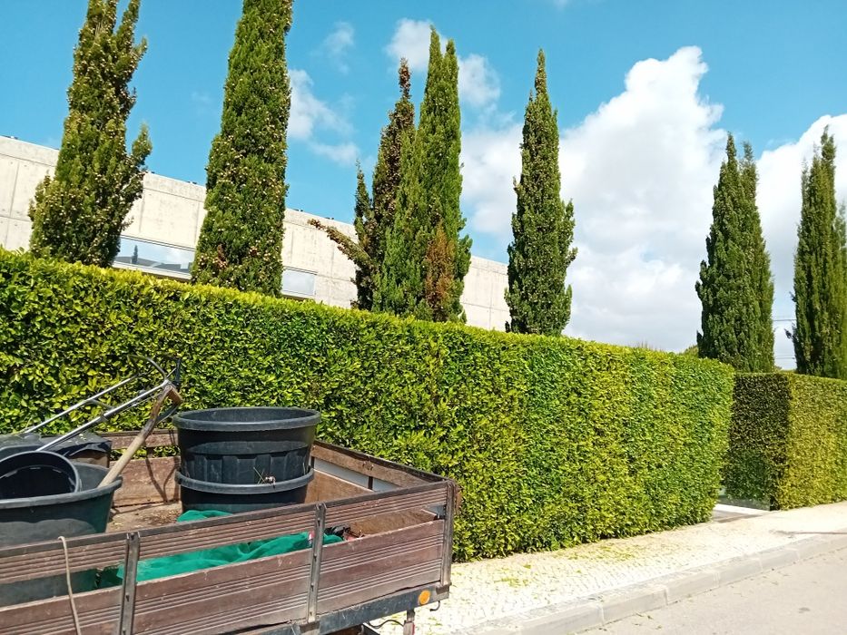 Piscinas, Jardins e Obras