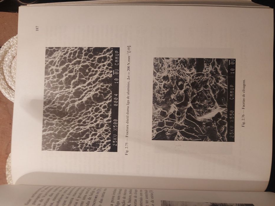 Livro técnico Fadiga de Estruturas Soldadas, C. Moura Branco et al.