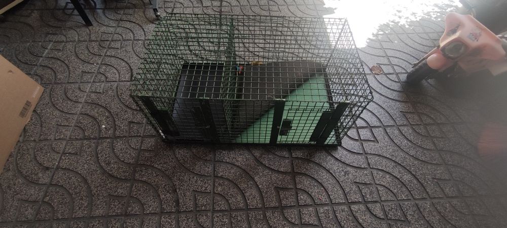 Transportador para cães