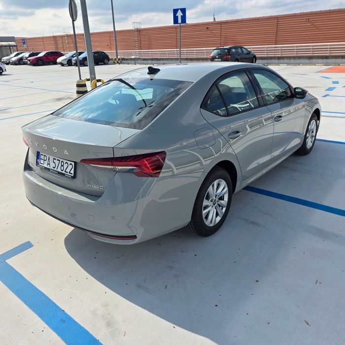 Wynajem wypozyczalnia samochodów aut Skoda Octavia Nowa!!!