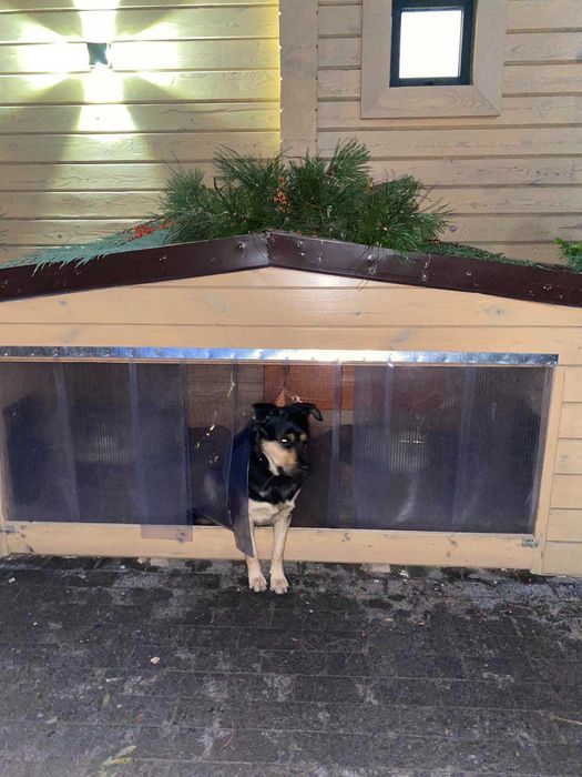 Шторка ПВХ для собачьей будки.