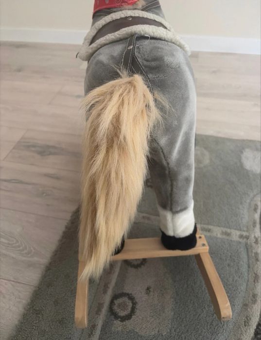 Konik na biegunach