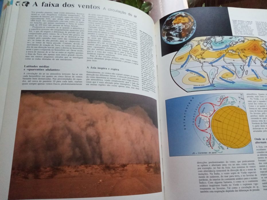 Esta Terra Magnífica