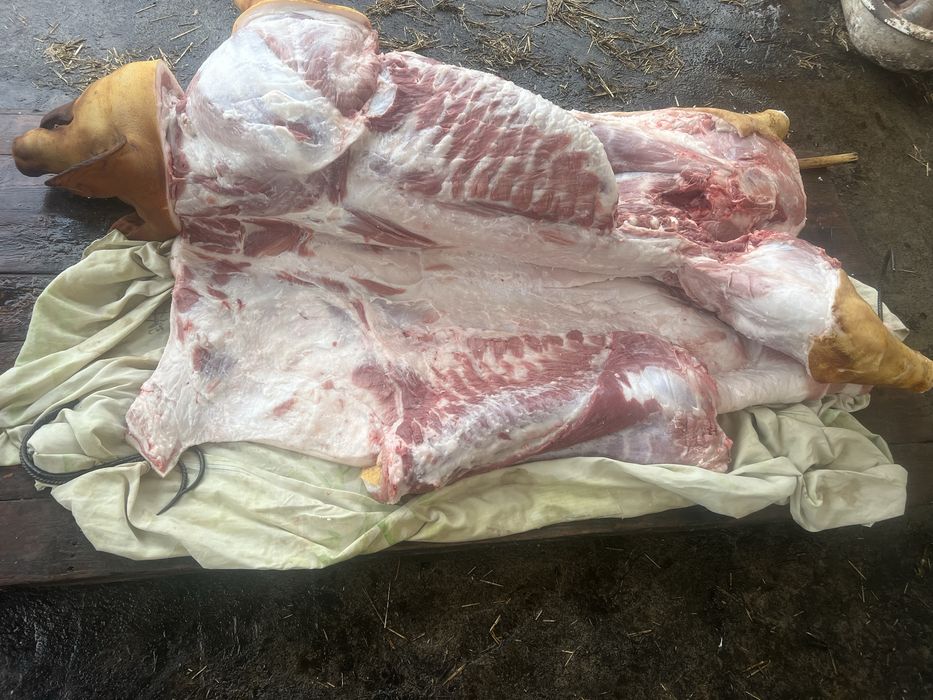 Свинина туша 165грн/кг ( полутуша, свиньи, мясо)