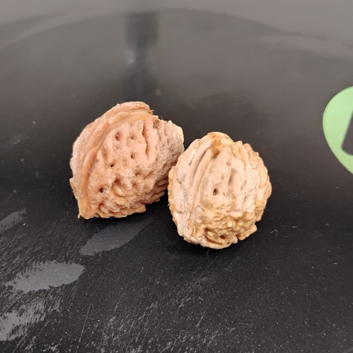 Wen wan- specjalne pestki brzoskwini