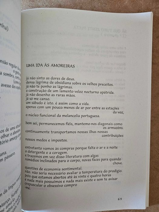 Livro Antologia da Novíssima Poesia Portuguesa