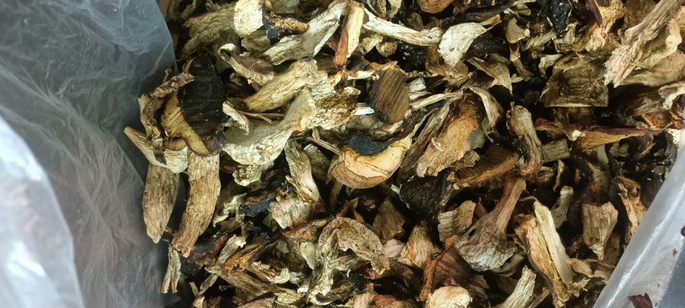 Продам гриби сушені